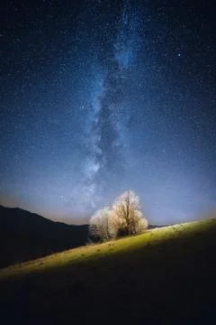 Starry night landscape Stock Photos