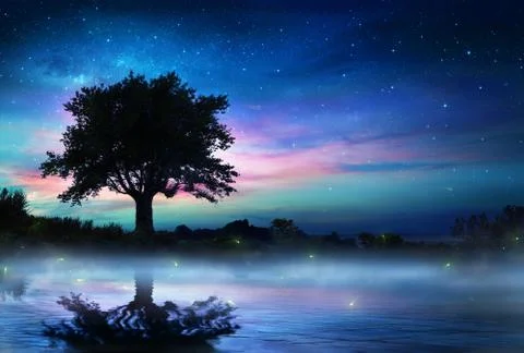 Starry Night With Lonely Tree Stock Photos