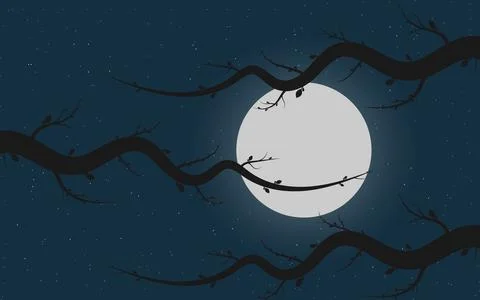 Starry night with moon and tree branches vector illustration Stock Illustration