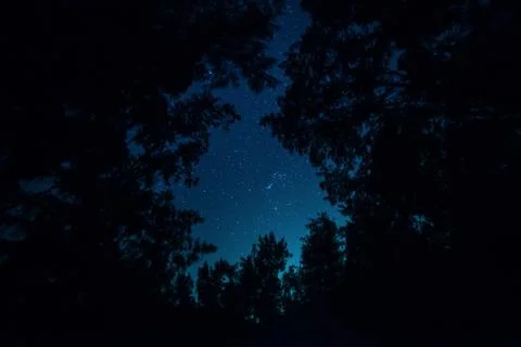 Starry Night Stock Photos