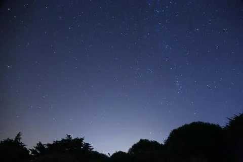 Starry night Stock Photos