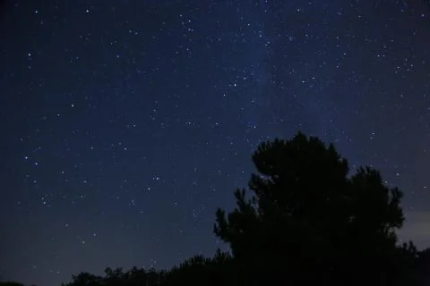 Starry night Stock Photos