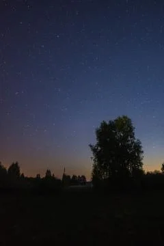 Starry night Stock Photos