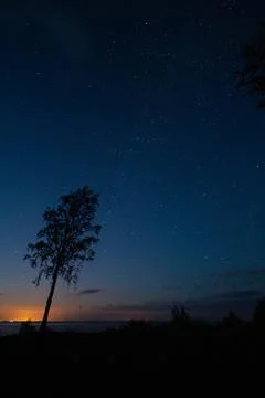 Starry Night with Pine Tree and Ominous Sky Stock Photos