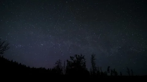 Starry night sky above a dark forest landscape Stock Footage 308519215