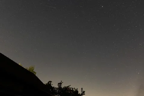 Starry night sky above tree silhouettes and roof Фото