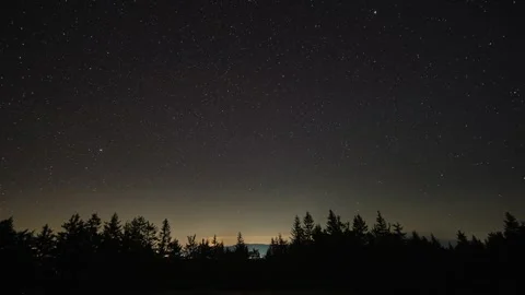 Starry night sky with drifting clouds over dark forest horizon in time lapse 스톡 동영상 321196723