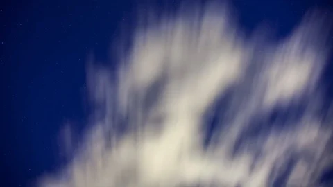 Starry night sky. Stock Footage 98305034