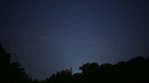 Starry Night Sky with Meteor Above Tree Silhouettes Stock Footage 346300427