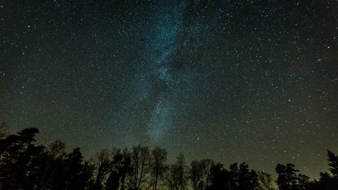 Starry night sky with Milky Way over forest.  Stock Footage 99159666