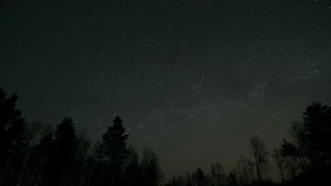 Starry Night Sky Over a Dark Forest Stock Footage 307384356