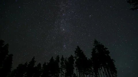 Starry night sky over a forest Stock Footage 291708973