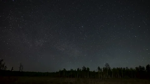 Starry Night Sky over Forest Landscape Stock Footage 313486732