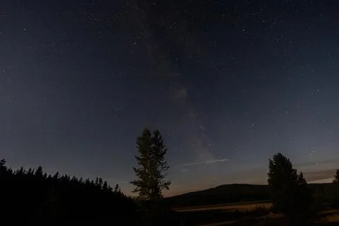 Starry Night Sky Over Forested Hills in Oregon Fotos Stock