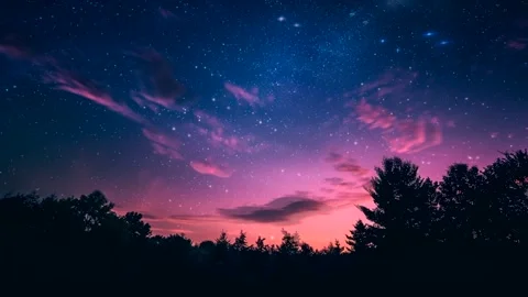 Starry Night Sky over Silhouetted Forest with Pink Clouds Stock Footage 297639948