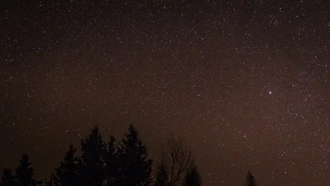 Starry night sky over trees tops 4k timelapse. UHD. Stock Footage 100521833