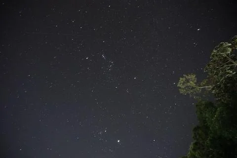 Starry night sky Stock Photos