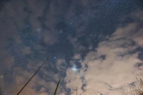 Starry night sky with scattered clouds and silhouetted flagpoles under cele.. Stock Photos