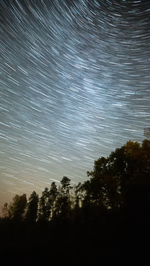 Starry night sky with startrails over forest. Stock Footage 289436267