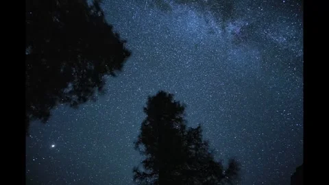 Starry Night Sky with Trees Stock Footage 303901055
