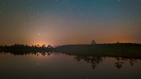 Starry night in the swamp (motion timelapse) Stock Footage 88110537