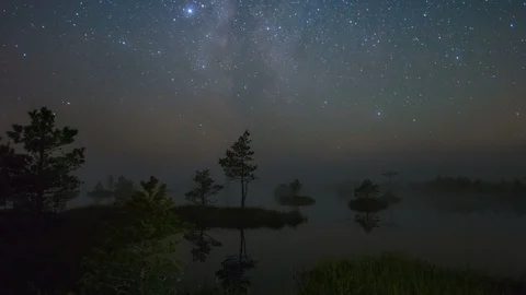 Starry night in the swamp (motion timelapse) Stock Footage 88111767