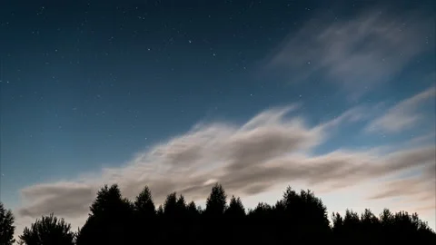 Starry Night Time-lapse. Clear Sky, Cloudy Sky. Night Silhouette Tree Line Vídeo Stock 158000977