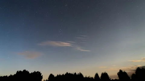 Starry Night Time-lapse. Clear Sky, Cloudy Sky. Night Silhouette Tree Line 動画素材 158001174