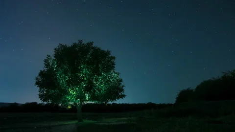 Starry Night Time-Lapse Video stock 169692737