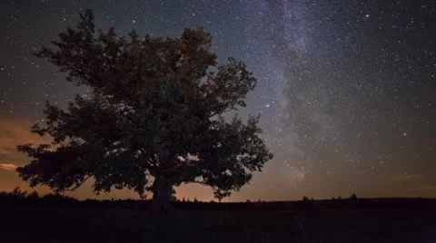 Starry night timelapse Stock Footage 21318792