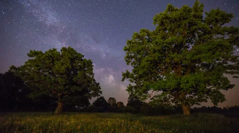 Starry night timelapse Stock Footage 39503816
