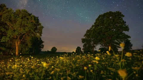 Starry night timelapse Video stock 309421611
