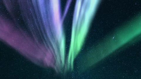 Starry Nightscapes Aurora and Meteor Showers Milky Way Time Lapse Stock Footage 312638524