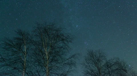 Starry sky above the trees Stock Footage 43995675