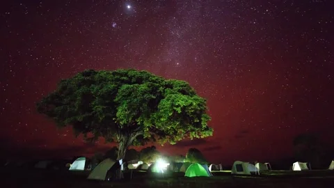 Starry sky and camping in the African savannah Stock Footage 196892647