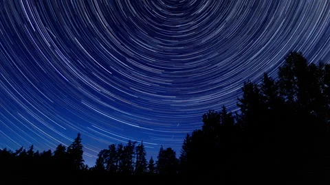 Starry sky and startrails over forest. Dark night sky timelapse. Stock Footage 314008034