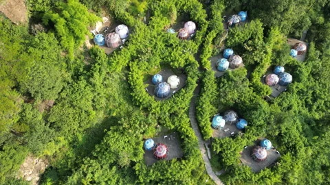 Starry Sky Bubble House6 Stock Footage 252362778