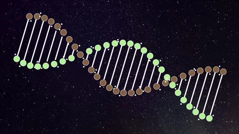 Starry Sky With Dna. Stock Footage 297174721