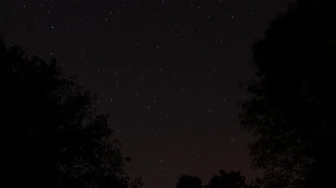 Starry sky landscape in forest - timelapse Stock Footage 51219326