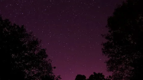 Starry sky landscape in forest - timelapse Stock Footage 51375928