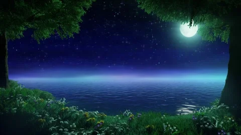Starry sky with moon at night over the calm sea Видео 339446242