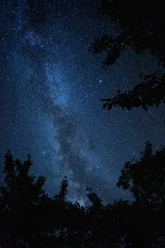 Starry sky at night Stock Photos