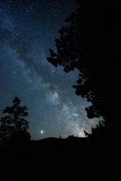 Starry sky at night Stock Photos