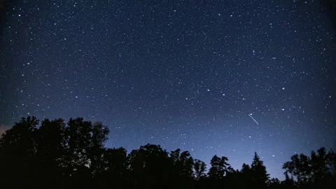 Starry sky over forest. Panning motion time lapse. Stock Footage 160272314
