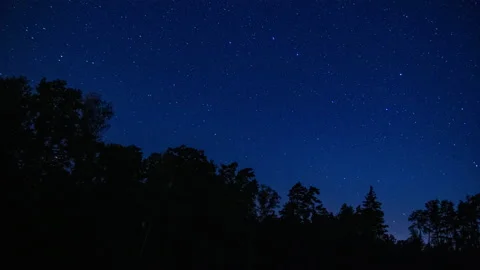 Starry sky over forest.4k time lapse video. Stock Footage 160967618