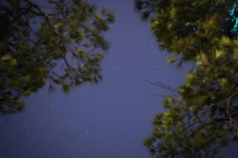 Starry sky Stock Photos