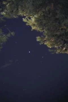 Starry sky Stock Photos