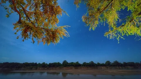 Starry sky, river and trees. african landscape Stock Footage 155232508