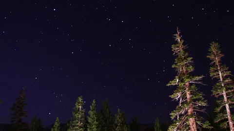 Starry sky rotate through trees, time lapse Video stock 46827663