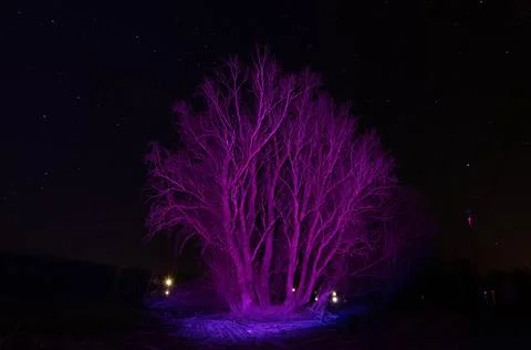 Starry sky. Scenery Stock Photos